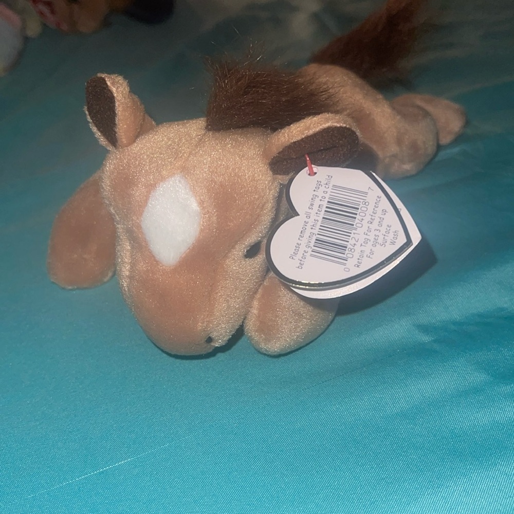Derby the beanie baby